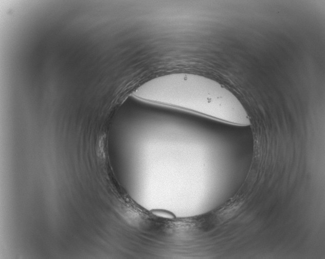 X0000059820286200510211003