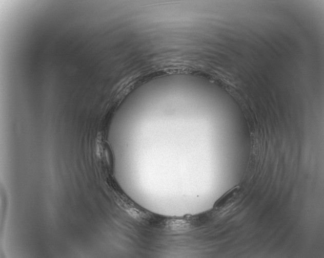 X0000059820287200510211003