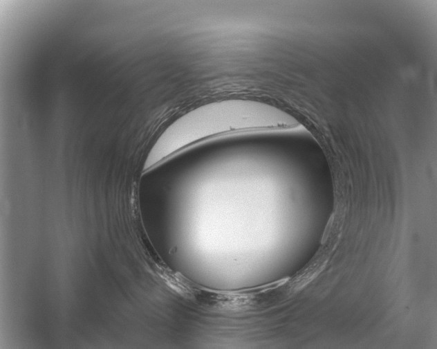 X0000059820288200510211003