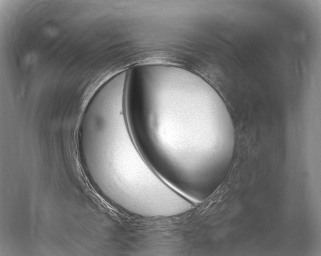 X0000059820289200510211003