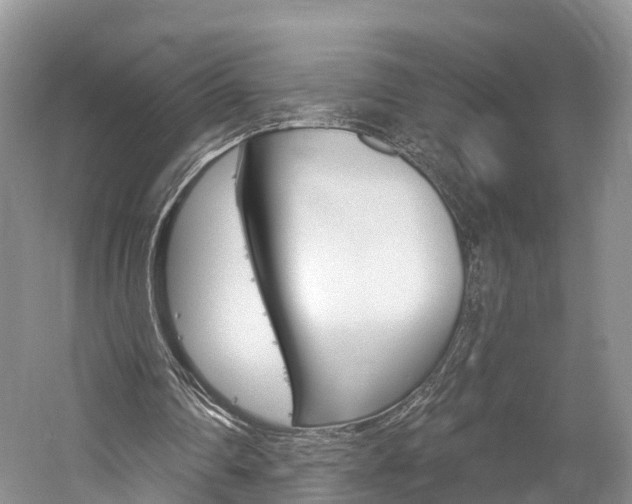 X0000059820290200510211003