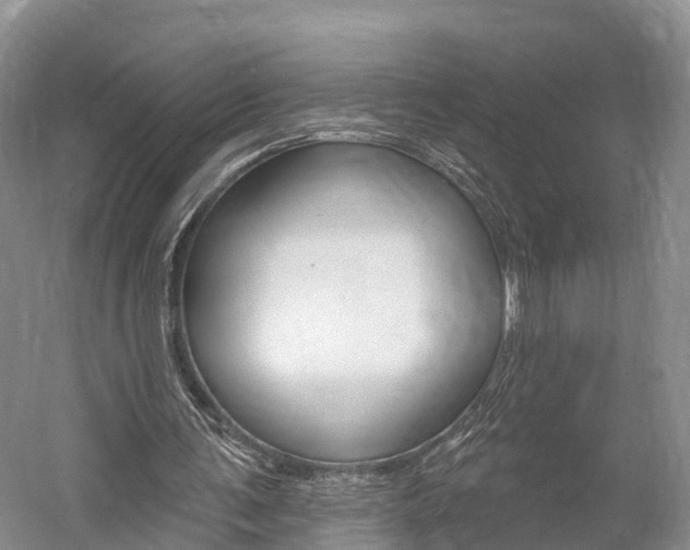 X0000059820291200510211003