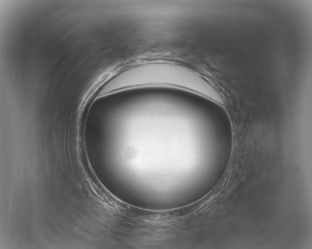 X0000059820293200510211002