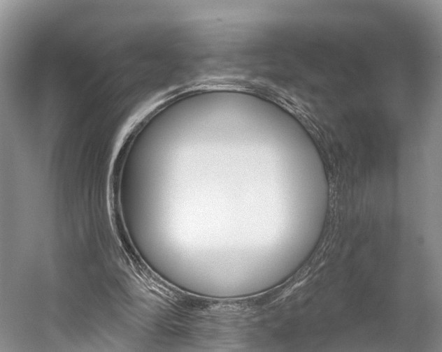 X0000059820294200510211002