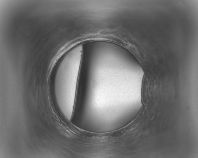 X0000059820295200510211002