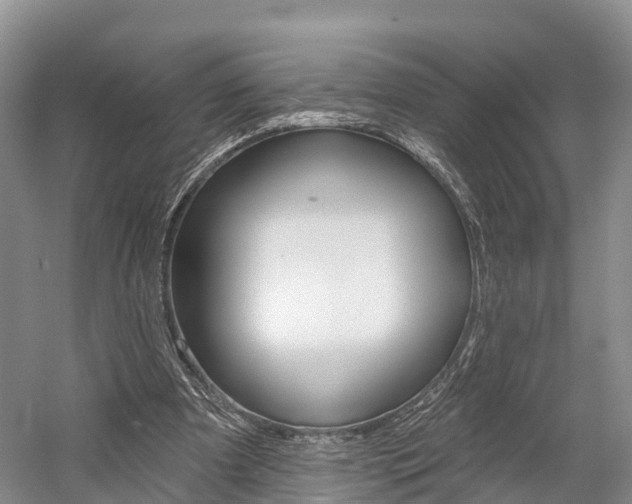 X0000059820297200510211002