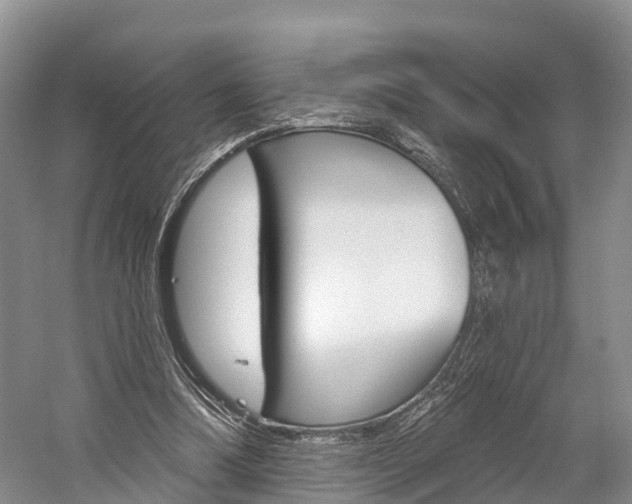 X0000059820298200510211002