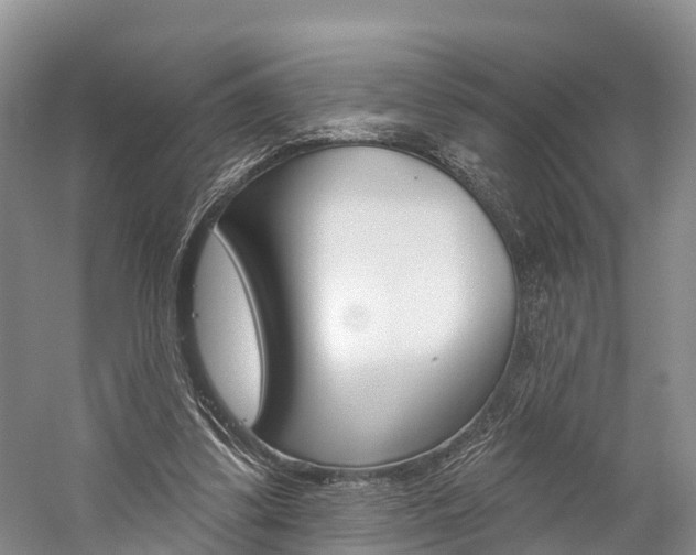 X0000059820299200510211002