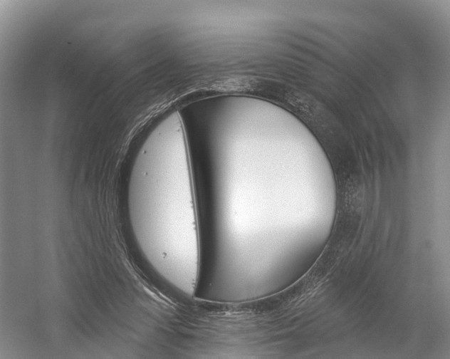 X0000059820303200510211002