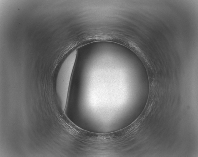 X0000059820305200510211002