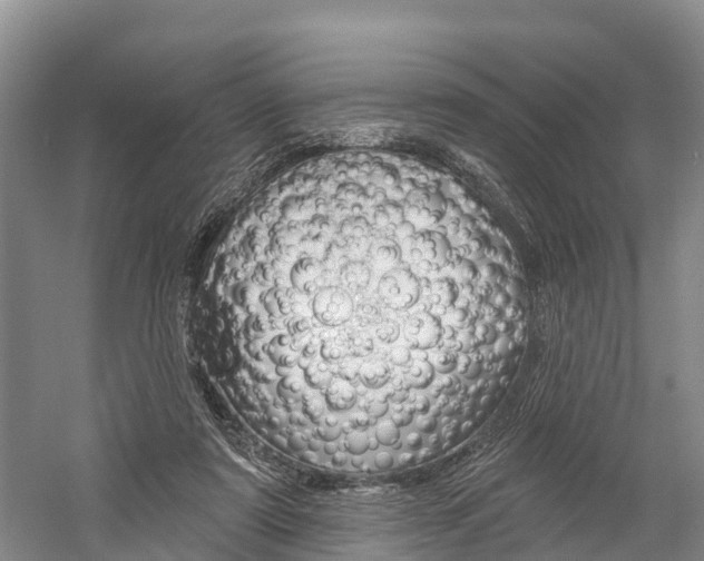X0000059820307200510211002