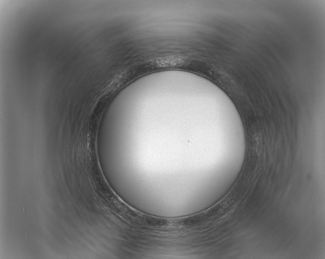 X0000059820308200510211002