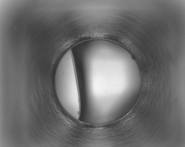 X0000059820309200510211002