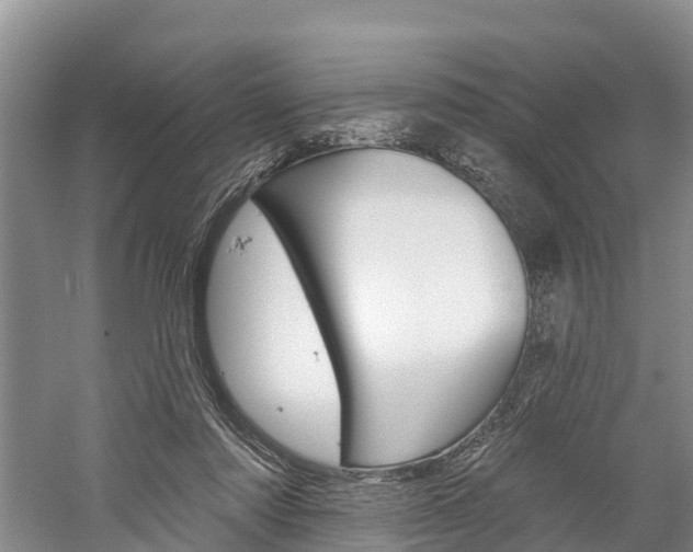 X0000059820310200510211002