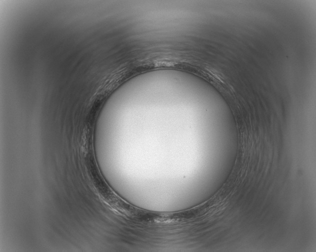 X0000059820311200510211002