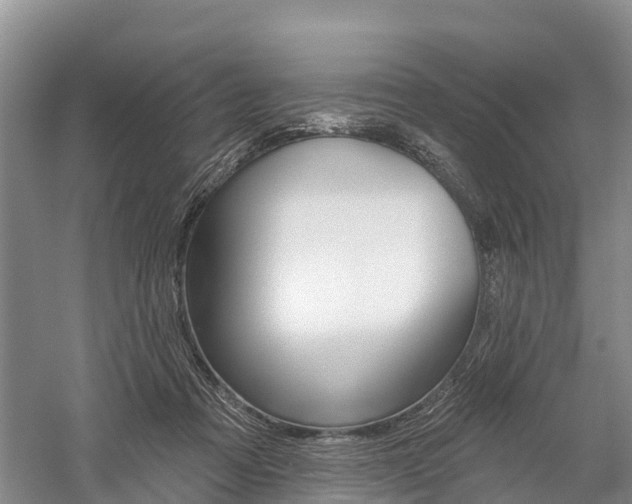 X0000059820313200510211002