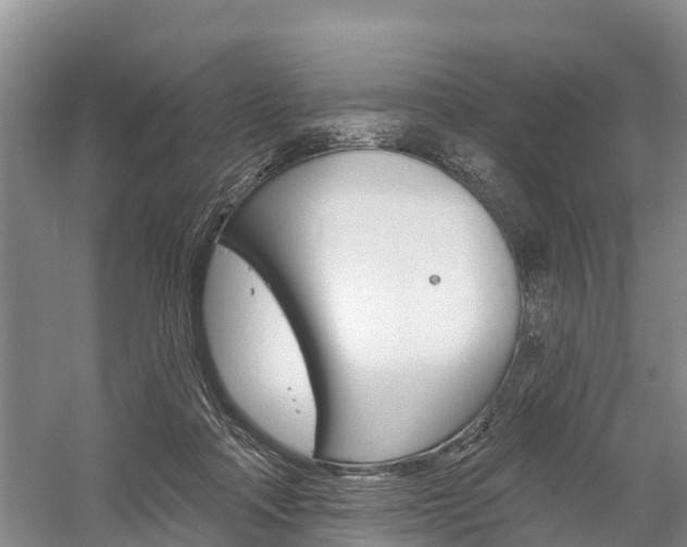 X0000059820314200510211002