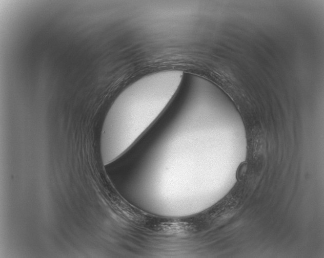 X0000059820316200510211002