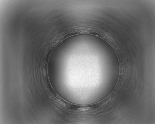 X0000059820317200510211002