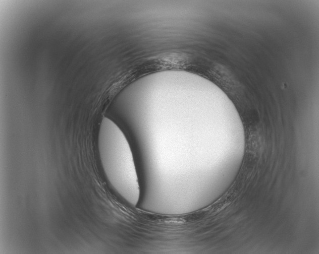 X0000059820318200510211002