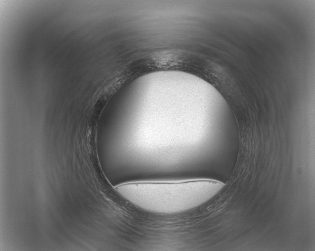 X0000059820319200510211002