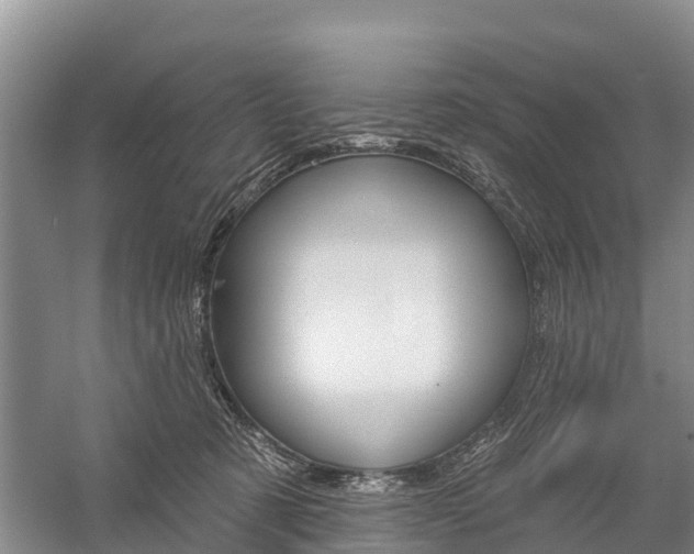 X0000059820321200510211002