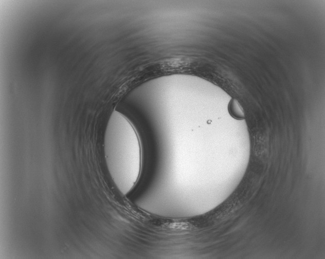 X0000059820324200510211002