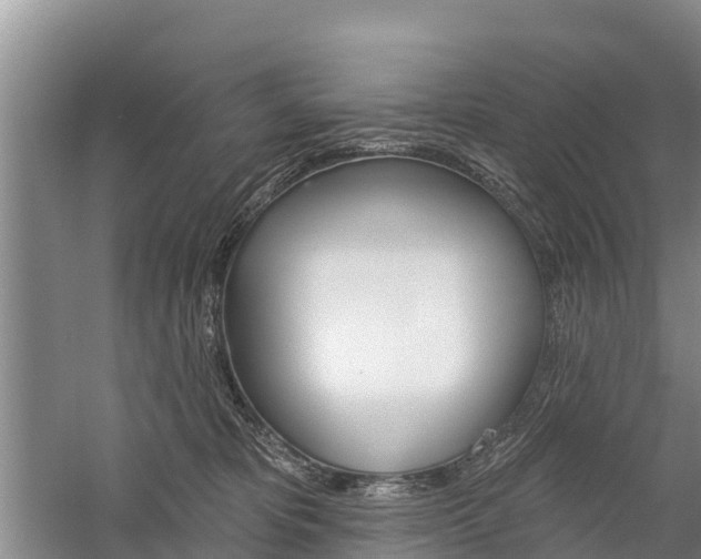 X0000059820325200510211002