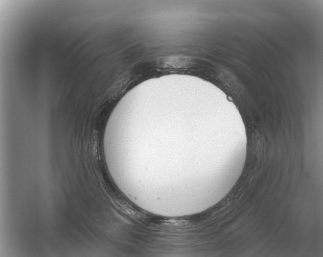 X0000059820328200510211002