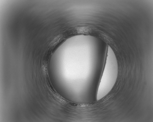 X0000059820329200510211002