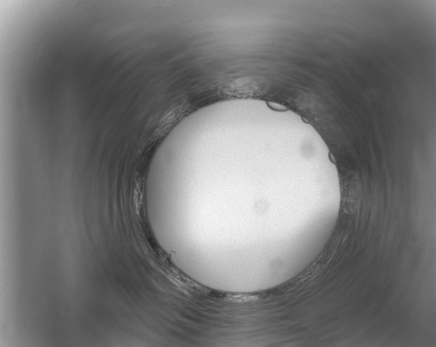 X0000059820334200510211002