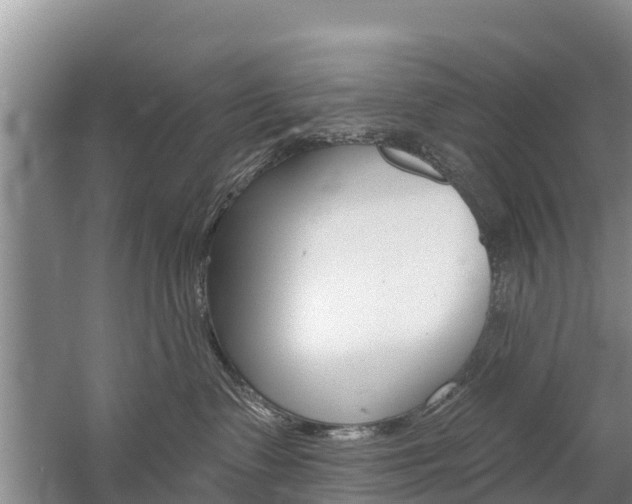 X0000059820335200510211002