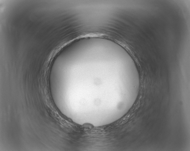 X0000059820337200510211001