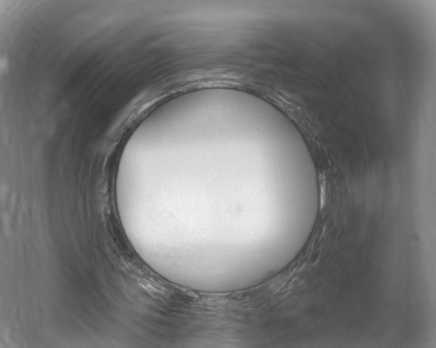 X0000059820339200510211001