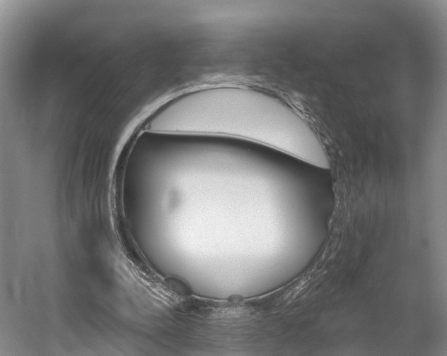 X0000059820342200510211001