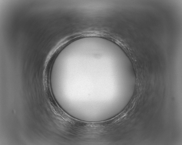 X0000059820343200510211001