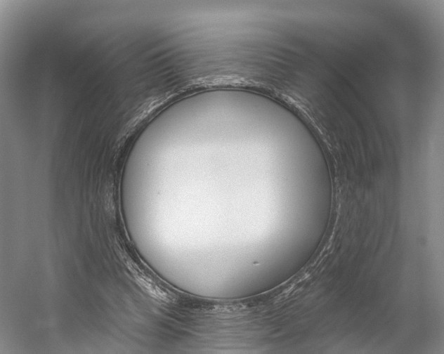 X0000059820345200510211001