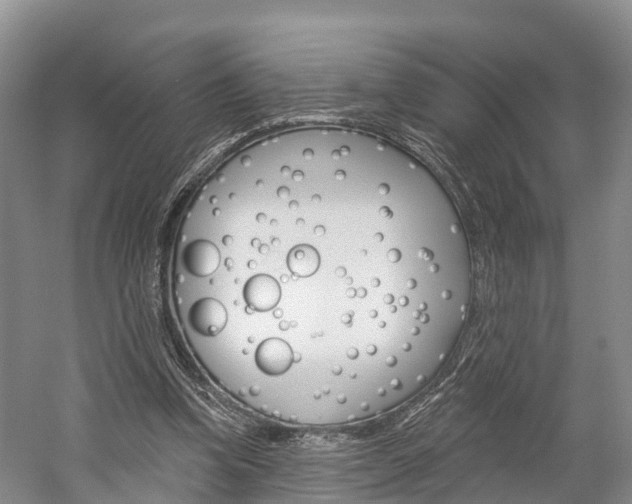 X0000059820346200510211001