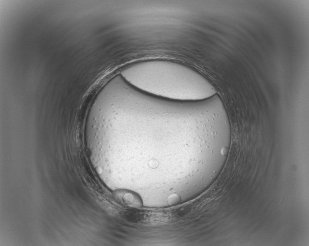 X0000059820347200510211001