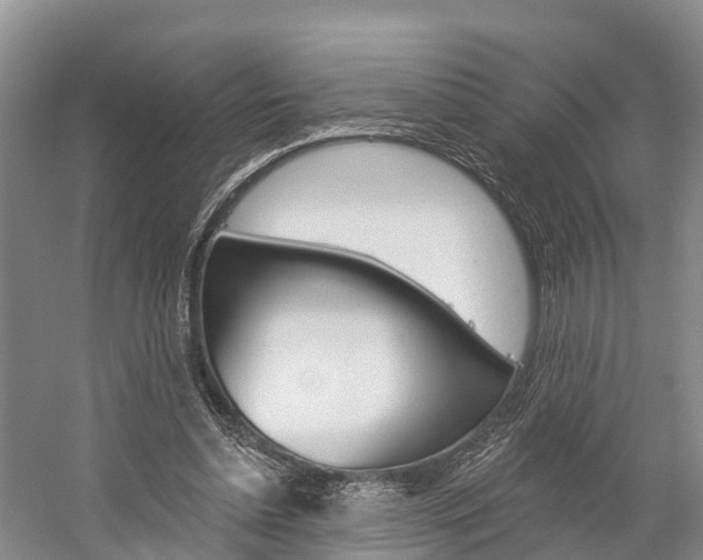 X0000059820348200510211001