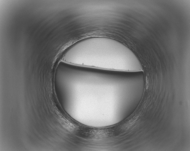 X0000059820349200510211001