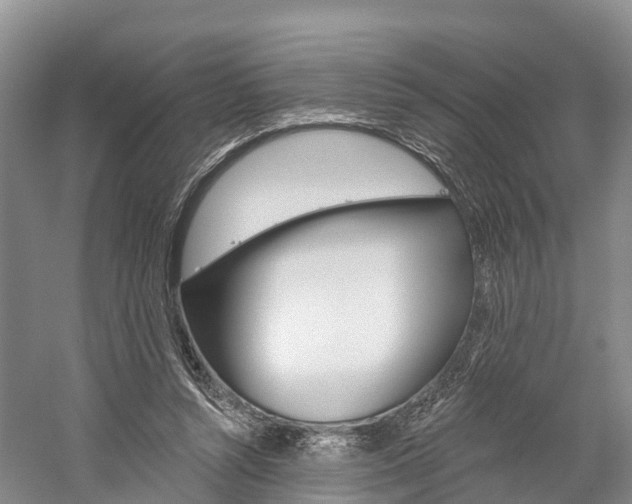 X0000059820352200510211001