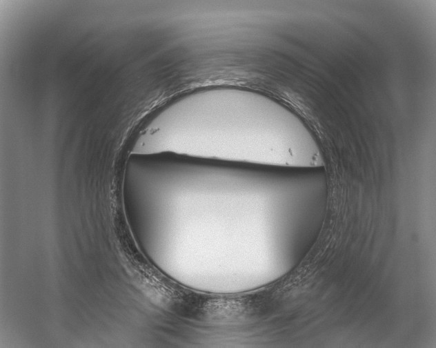 X0000059820354200510211001