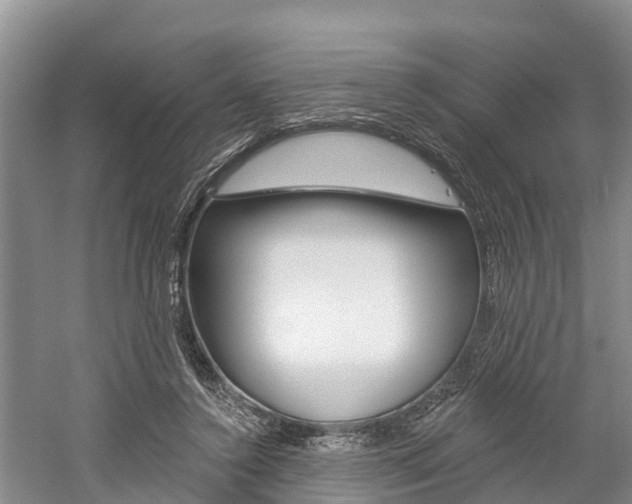 X0000059820356200510211001
