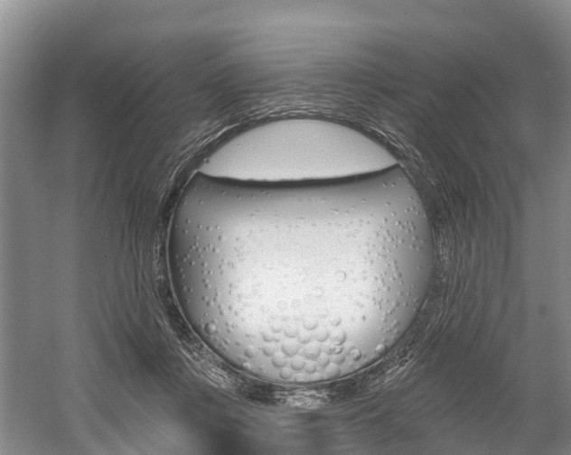 X0000059820359200510211001