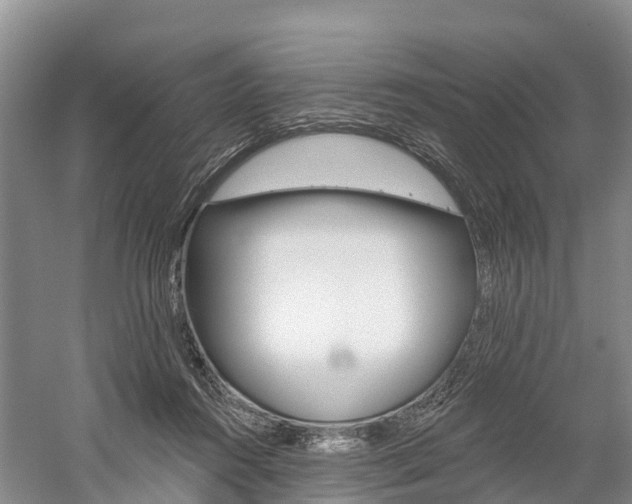 X0000059820360200510211001