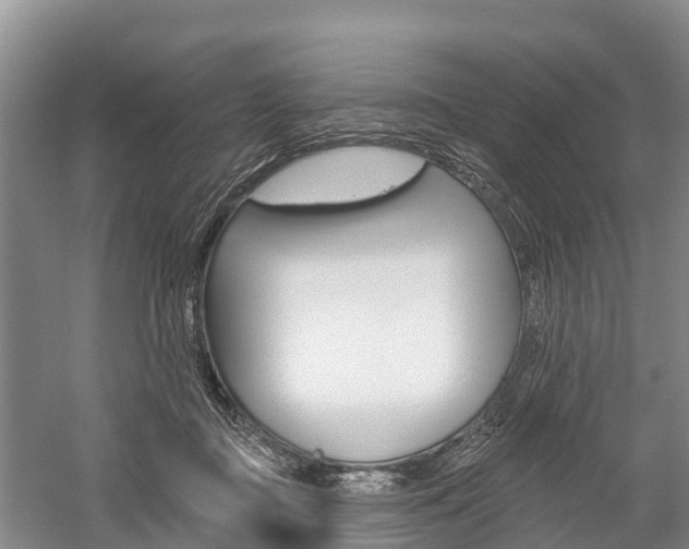 X0000059820363200510211001