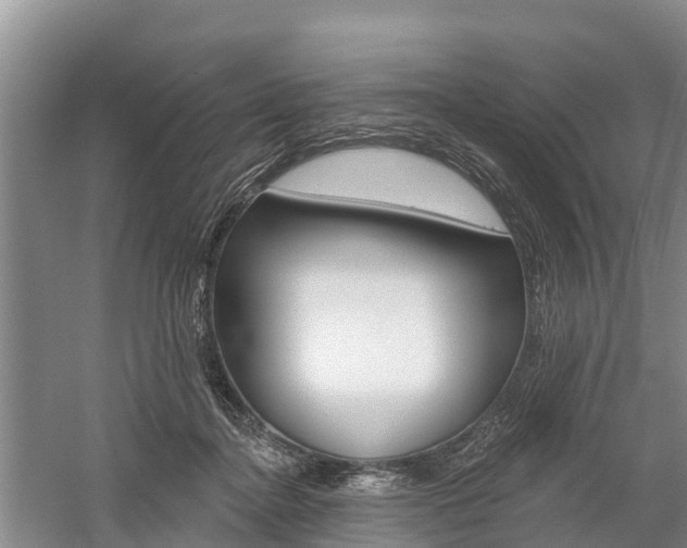 X0000059820364200510211001