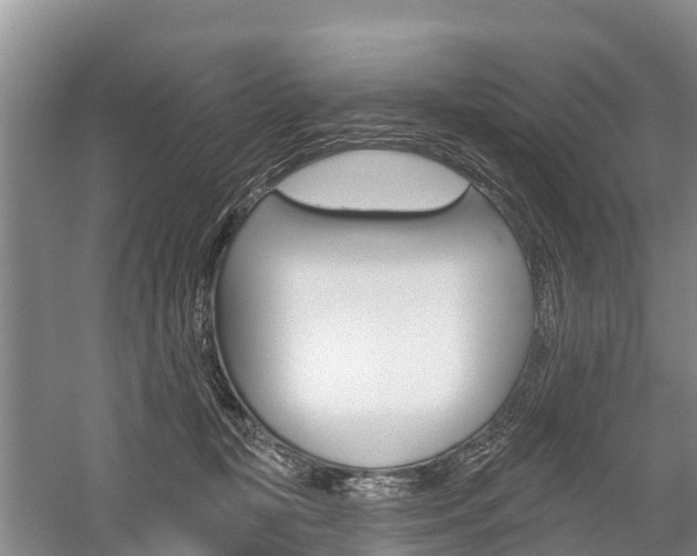 X0000059820367200510211001