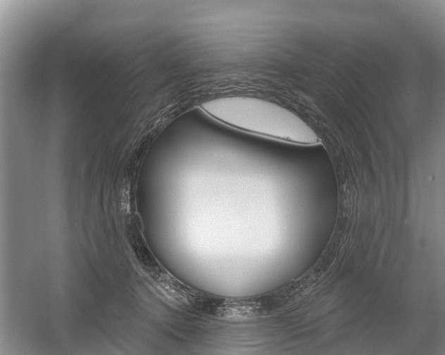 X0000059820368200510211001